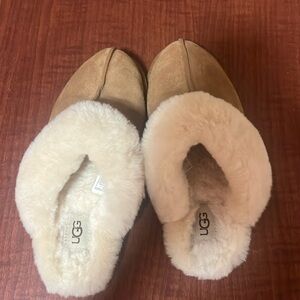 Scuffette II Chestnut Uggs  size 6